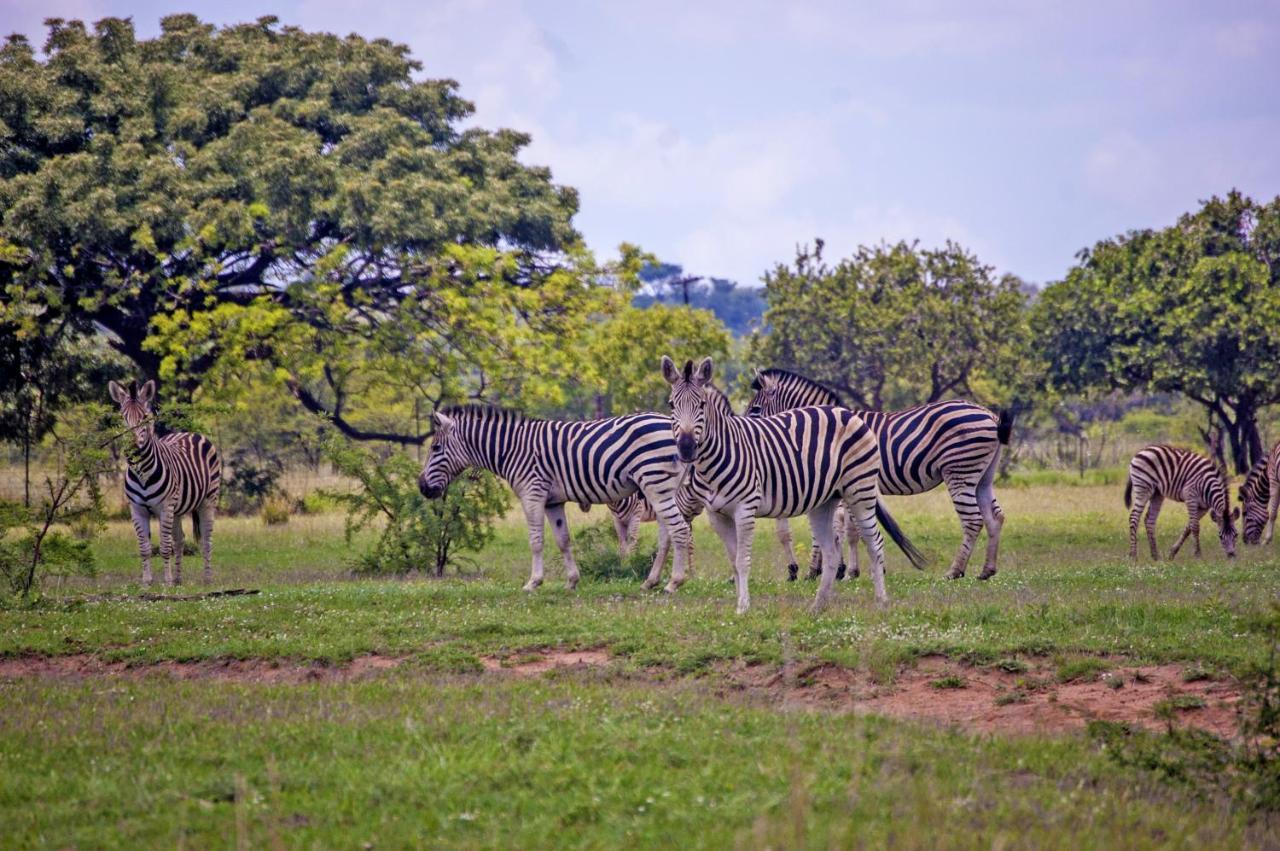 Kedar Heritage Lodge, Conference Centre & Spa Phokeng Buitenkant foto